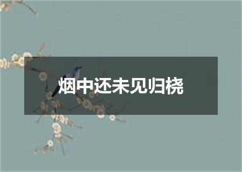 烟中还未见归桡
