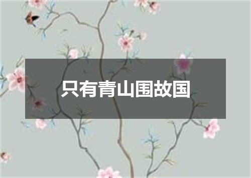 只有青山围故国