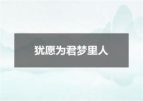 犹愿为君梦里人