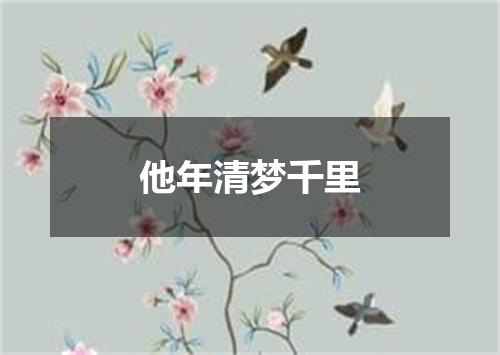 他年清梦千里