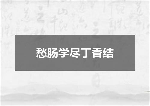 愁肠学尽丁香结