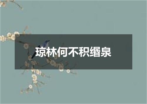 琼林何不积缗泉