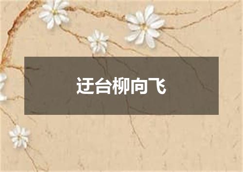 迂台柳向飞