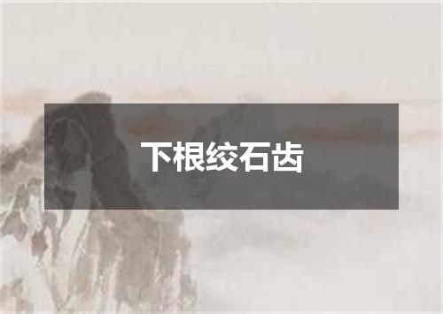 下根绞石齿