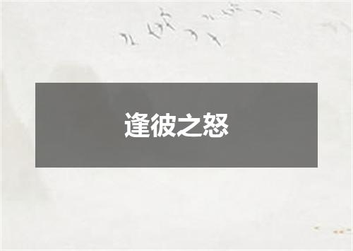 逢彼之怒