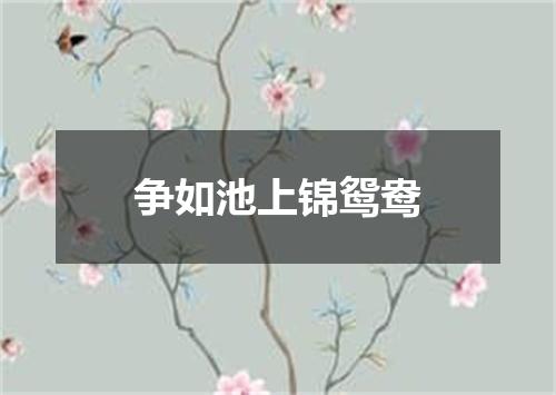 争如池上锦鸳鸯