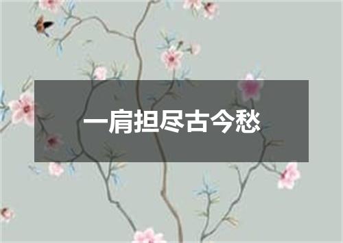 一肩担尽古今愁