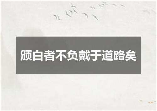 颁白者不负戴于道路矣