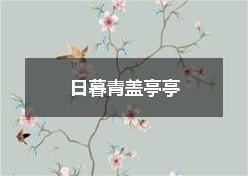 日暮青盖亭亭