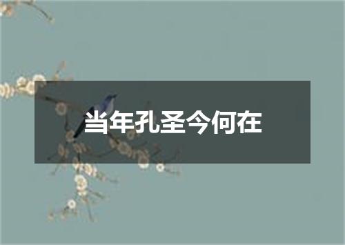 当年孔圣今何在