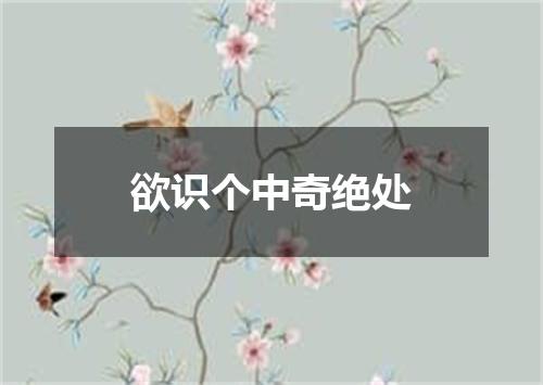 欲识个中奇绝处
