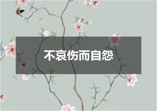 不哀伤而自怨
