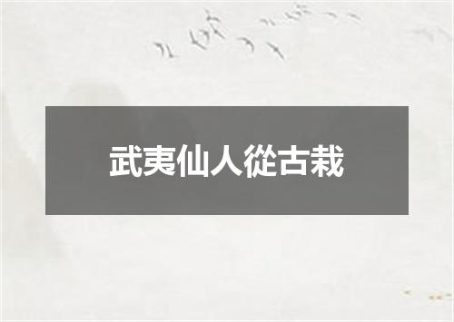 武夷仙人從古栽