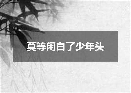 莫等闲白了少年头