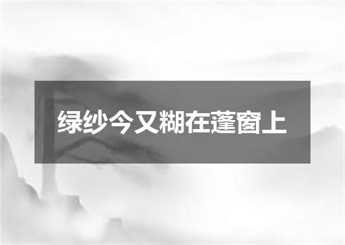 绿纱今又糊在蓬窗上