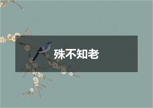殊不知老