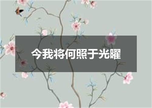 今我将何照于光曜