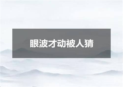 眼波才动被人猜