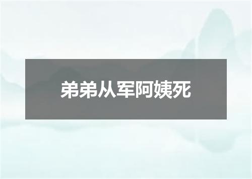 弟弟从军阿姨死