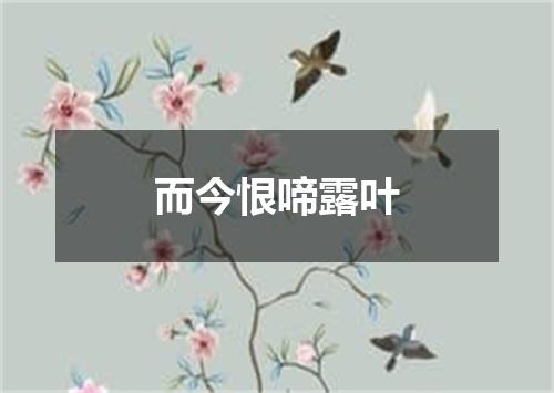 而今恨啼露叶