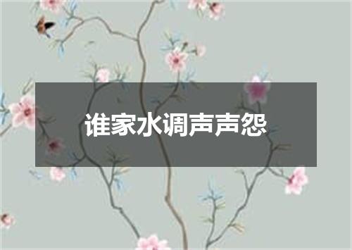 谁家水调声声怨