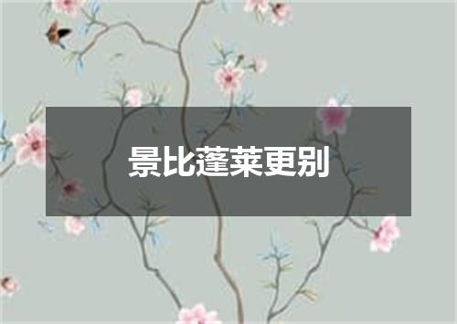 景比蓬莱更别