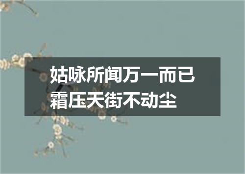 姑咏所闻万一而已霜压天街不动尘