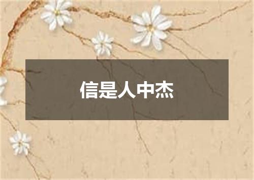 信是人中杰