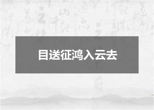 目送征鸿入云去