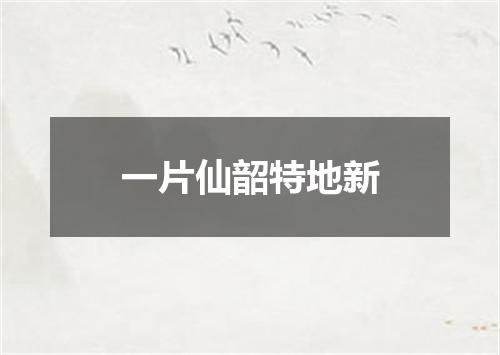 一片仙韶特地新