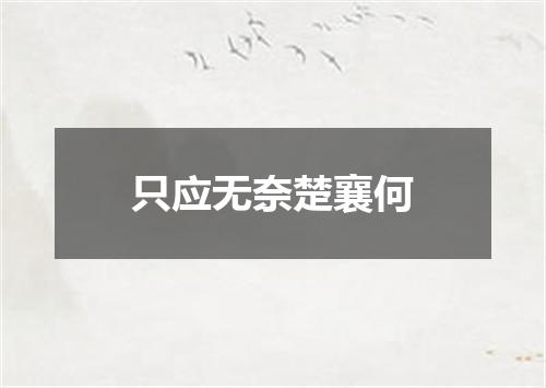只应无奈楚襄何