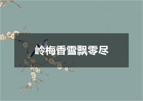 岭梅香雪飘零尽