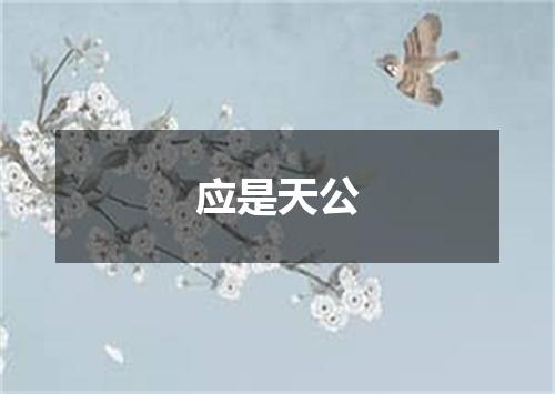 应是天公