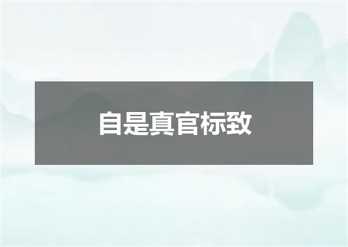 自是真官标致