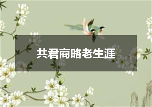 共君商略老生涯