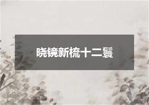 晓镜新梳十二鬟