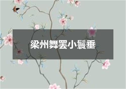 梁州舞罢小鬟垂