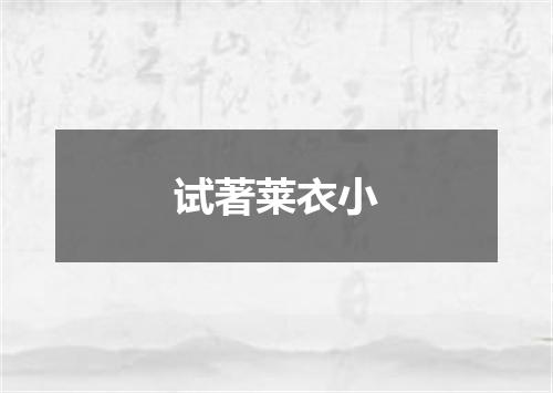 试著莱衣小