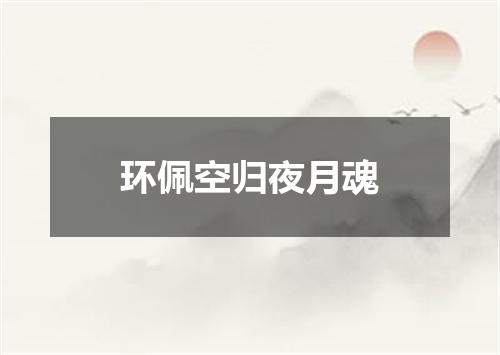 环佩空归夜月魂