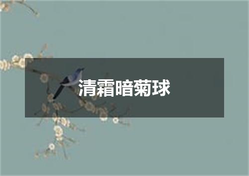 清霜暗菊球