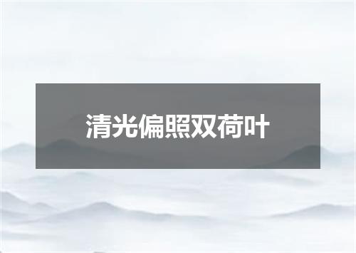 清光偏照双荷叶