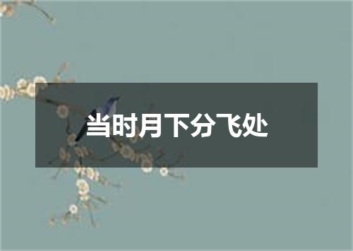 当时月下分飞处