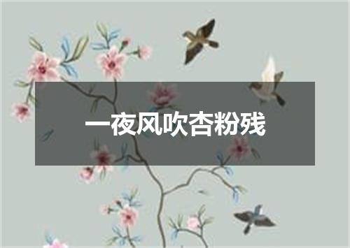 一夜风吹杏粉残