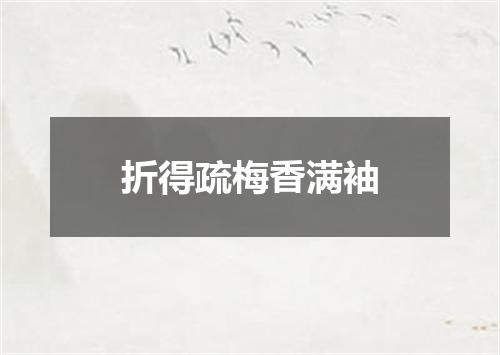 折得疏梅香满袖