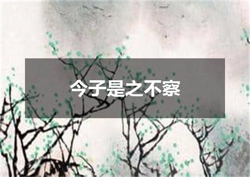 今子是之不察