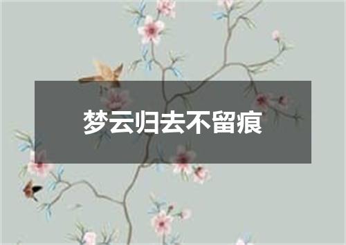 梦云归去不留痕