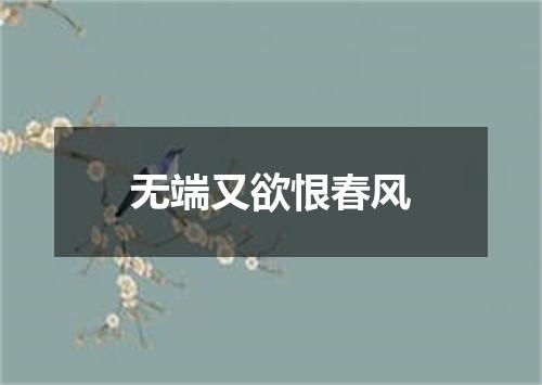 无端又欲恨春风