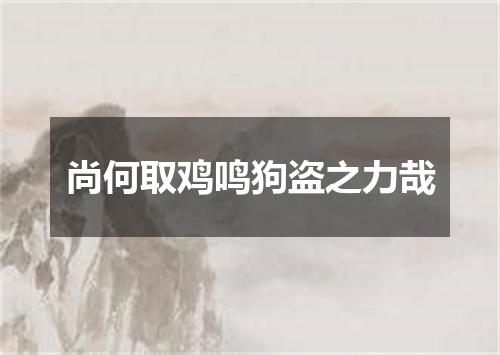 尚何取鸡鸣狗盗之力哉