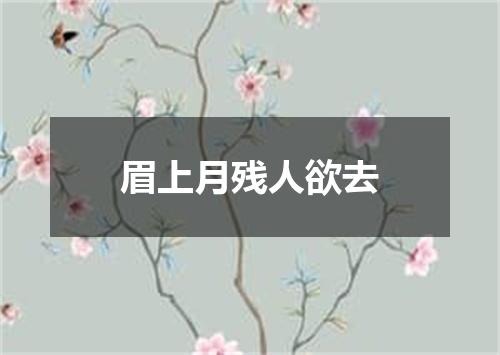 眉上月残人欲去