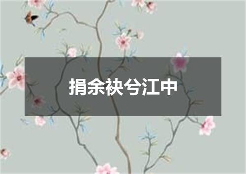 捐余袂兮江中